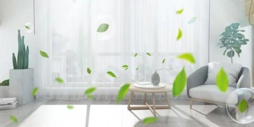 1653980393402038.jpeg 1.jpeg