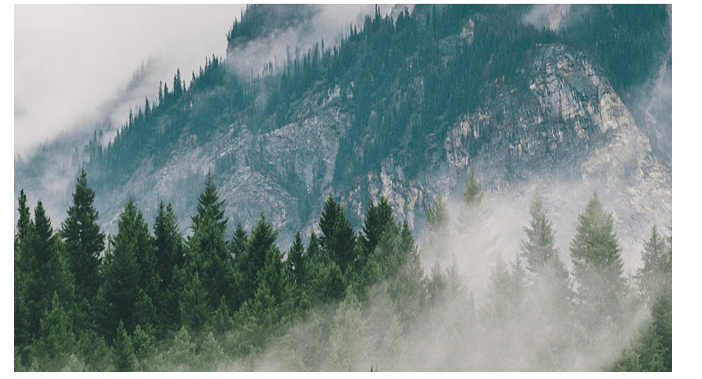 1685583486688052.png 1.png